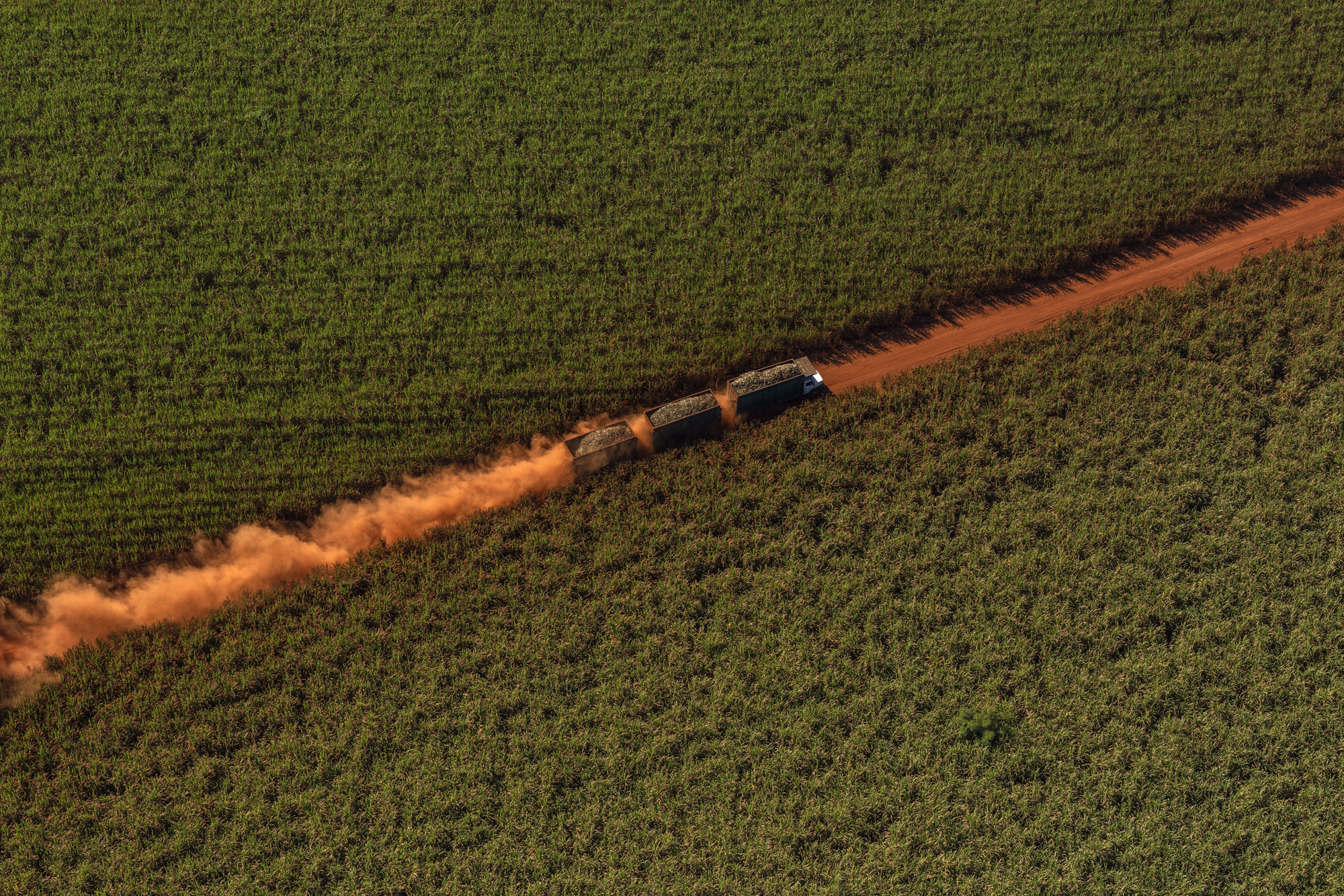 Portfólio Renato - Imagem 2