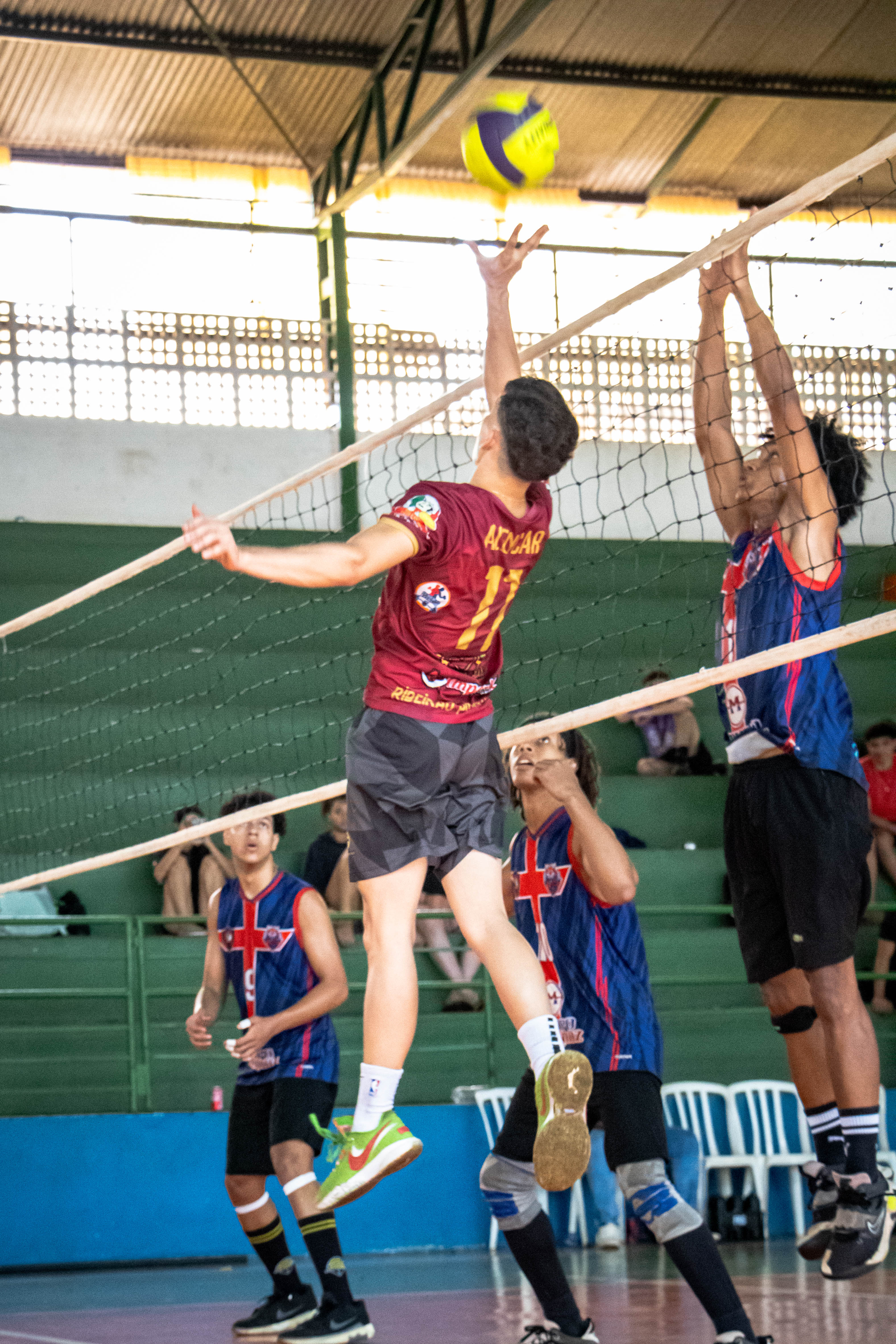 Portfólio Luiza - Imagem 5