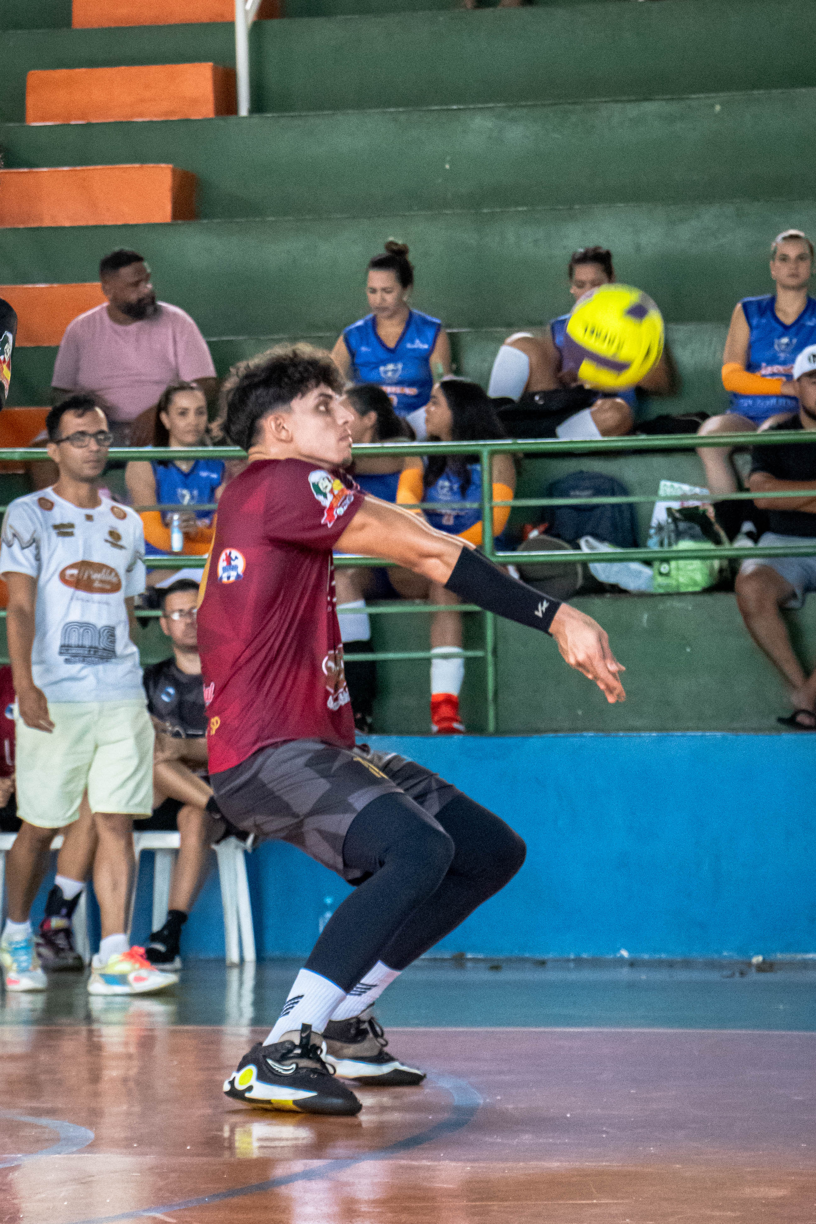 Portfólio Luiza - Imagem 4