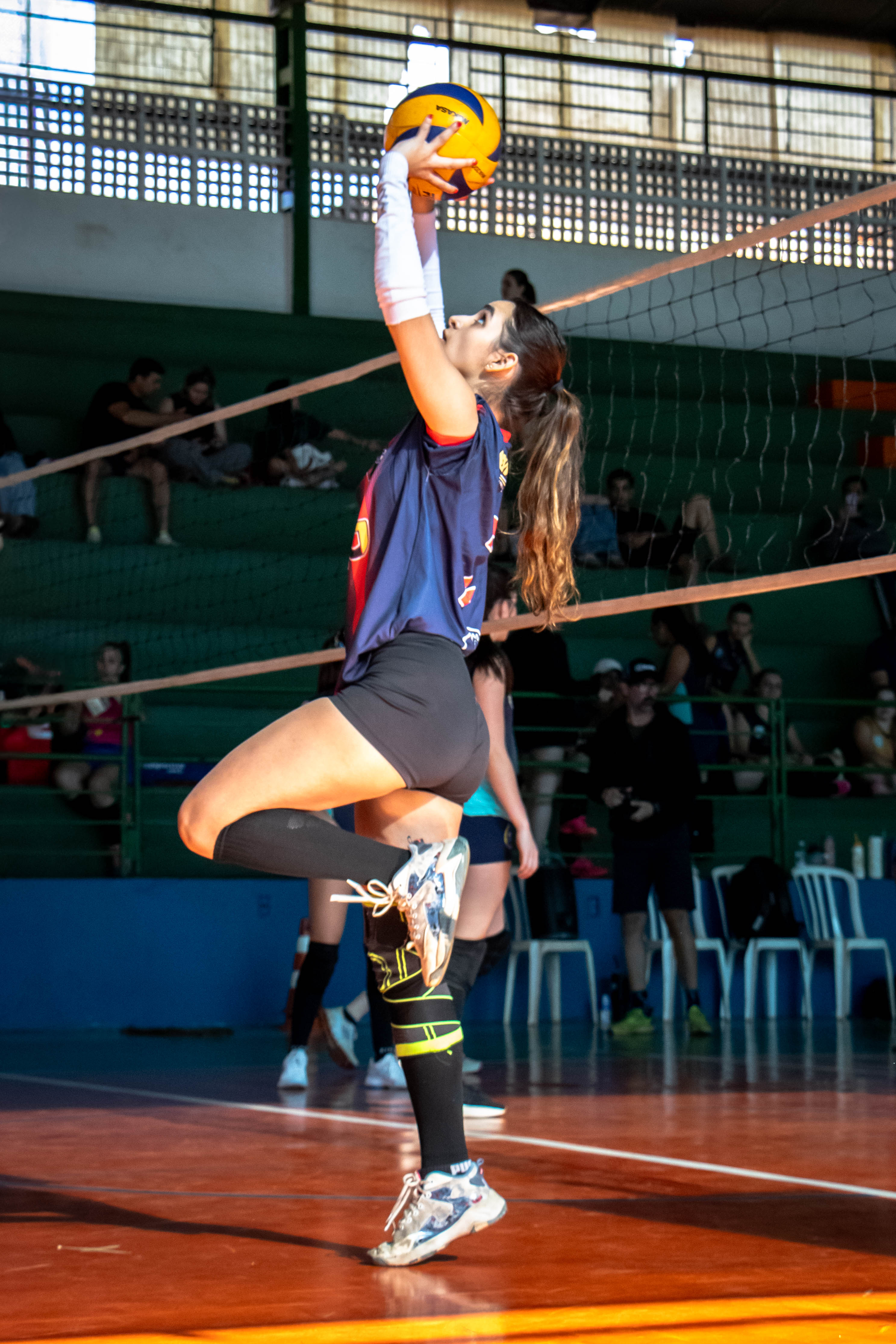 Portfólio Luiza - Imagem 9