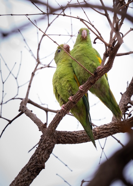 Portfólio de Fernando