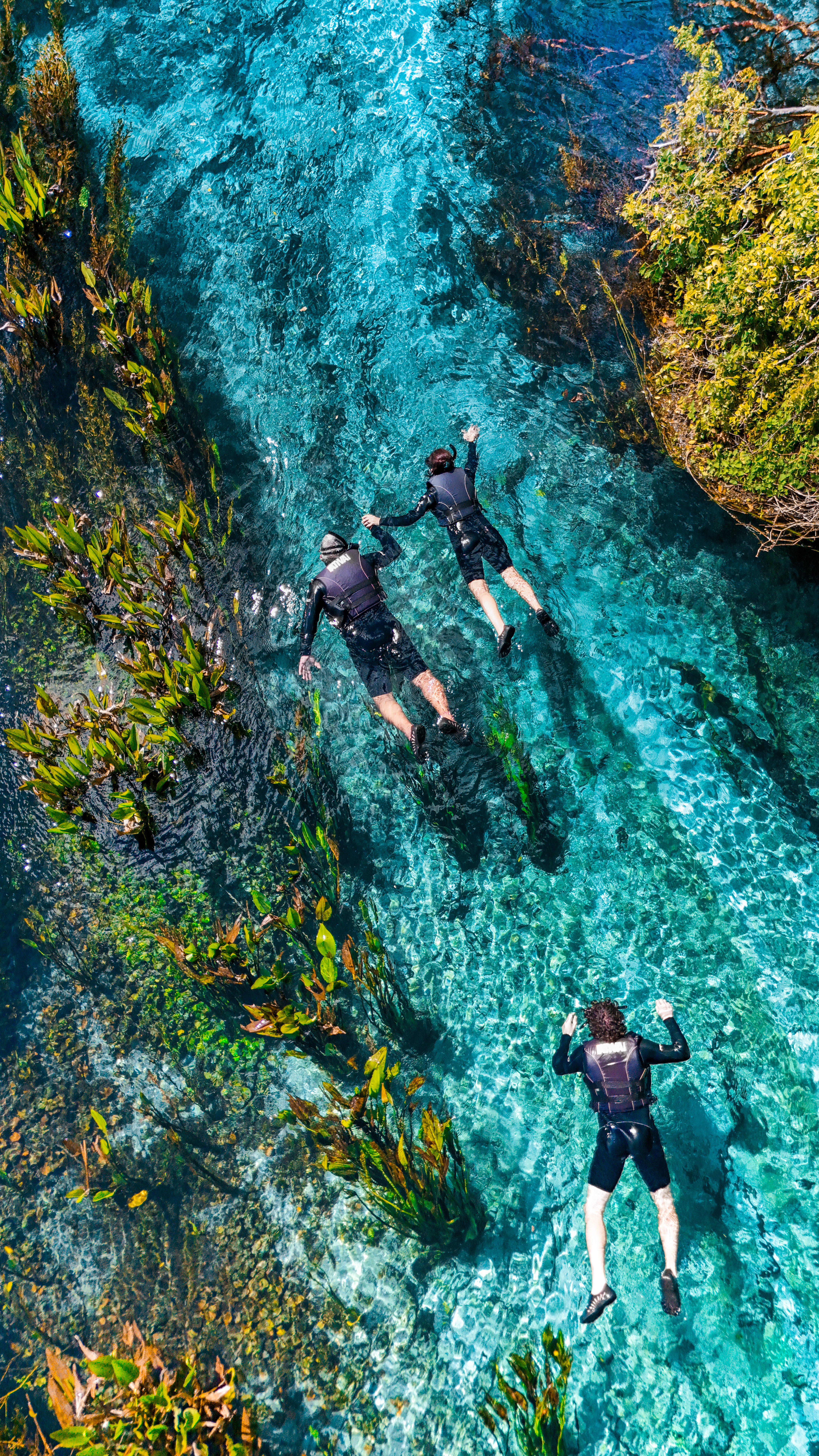 Portfólio Fernando - Imagem 1